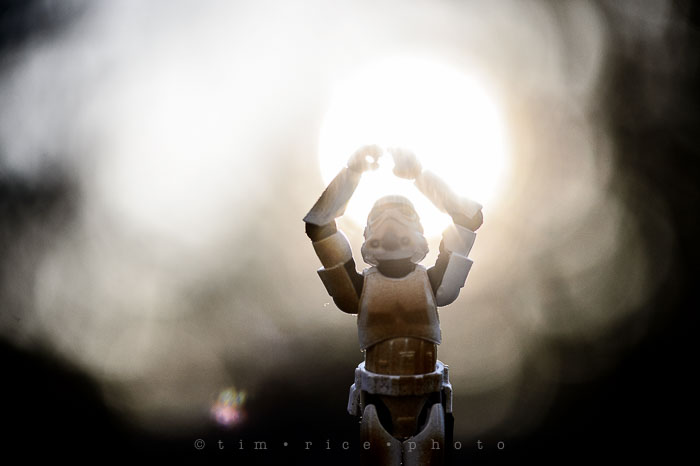 Yr6•197-365•2023•Harness the Light