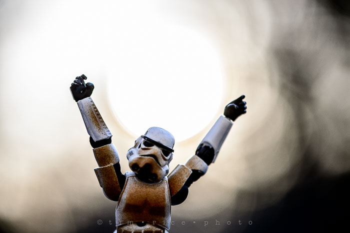 Yr6•198-365•2023•Harness the Light