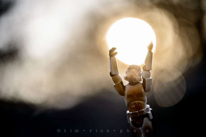 Yr6•199-365•2023•Harness the Light