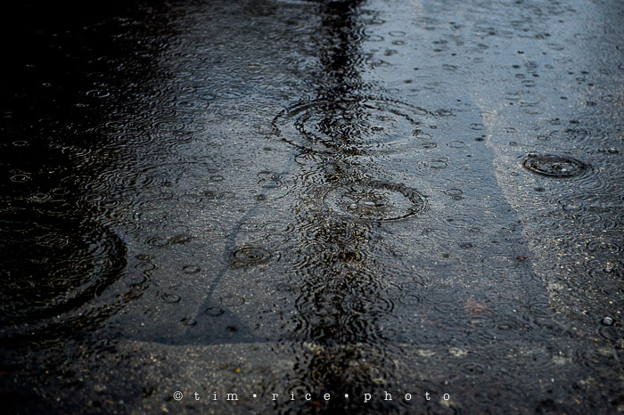 Yr6•202/365•2028 A Rain Day April 20, 2015