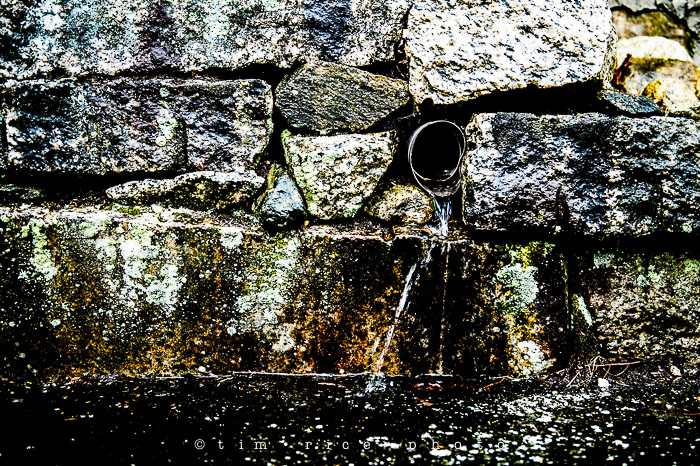 Yr6•203-365•2028•The Drain