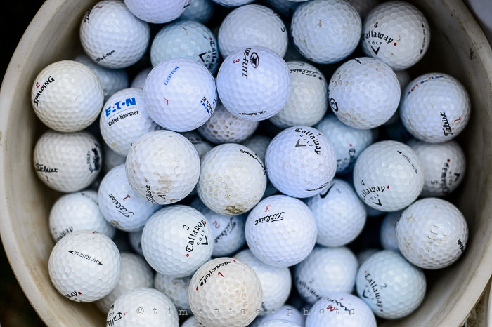 Yr6•215-365•2041•A Head Above