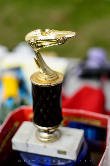 Yr6•216-365•2041•A Head Above