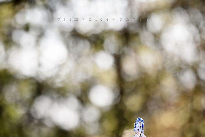 Yr6•216/365•2042 May the 4th May 4, 2015