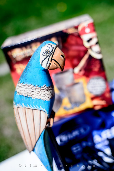 Yr6•220-365•2041•A Head Above