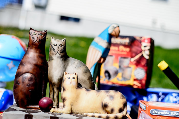 Yr6•221-365•2041•A Head Above