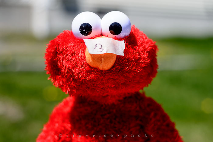 Yr6•223-365•2041•A Head Above