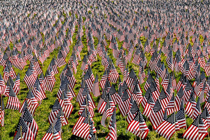 Yr6•236-365•2056•Quincy Market-2