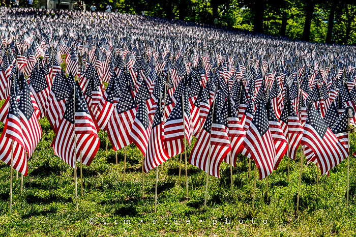 Yr6•237-365•2056•Quincy Market-2