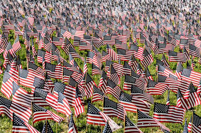 Yr6•239-365•2056•Quincy Market-2