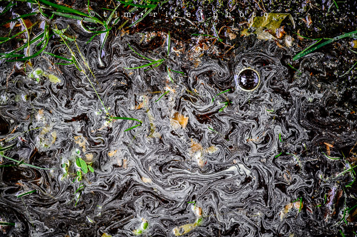 Yr6•243-365•2063•Washed Away