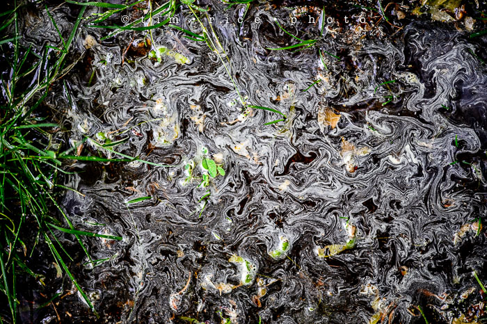 Yr6•244-365•2063•Washed Away