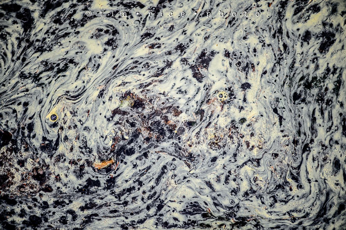 Yr6•245-365•2063•Washed Away