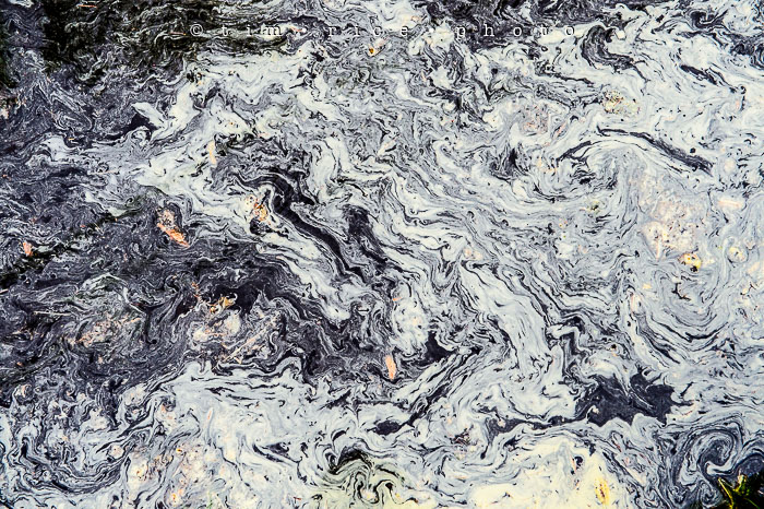 Yr6•246-365•2063•Washed Away