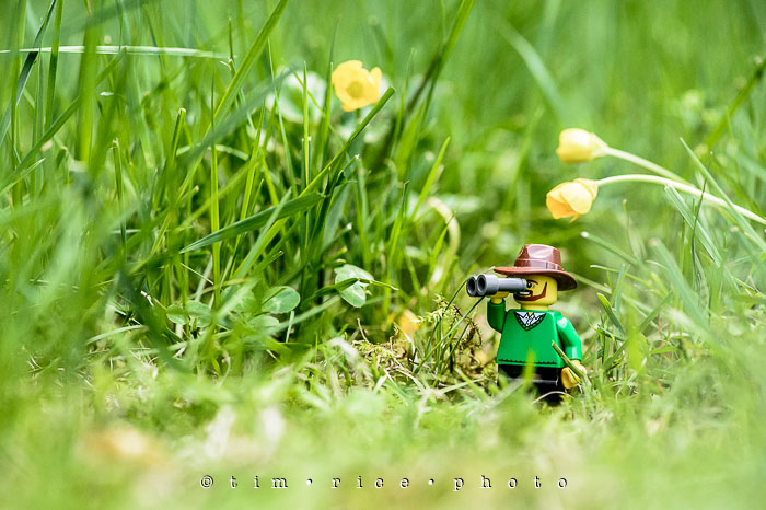 Yr6•246/365•2066 Lawn Lost Lego June 3, 2015