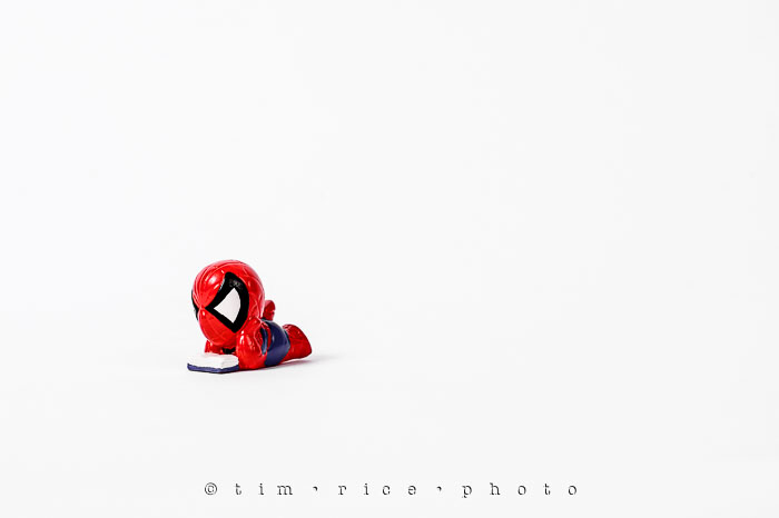 Yr6•263-365•2080•Spider-men