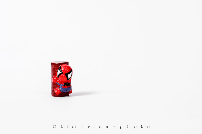 Yr6•268-365•2080•Spider-men