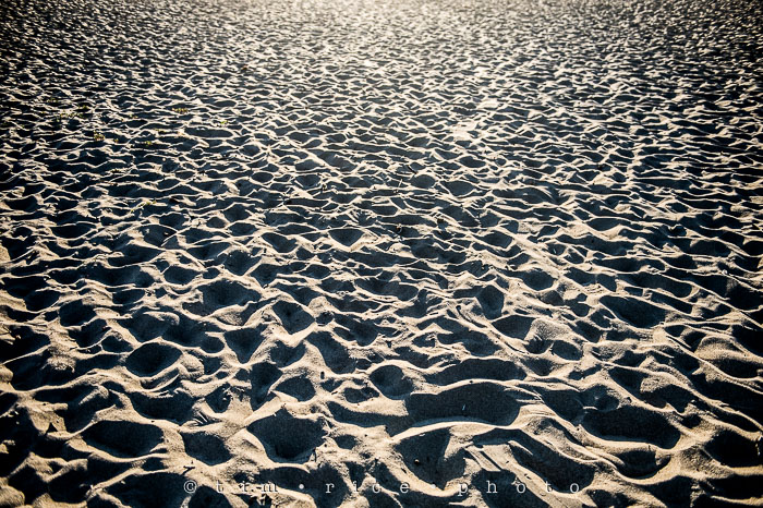 Yr6•272-365•2091•Scott's Creek Beach