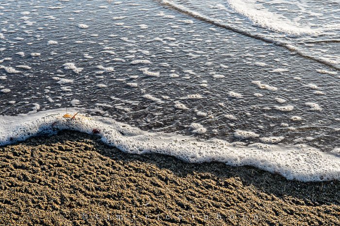 Yr6•274-365•2091•Scott's Creek Beach