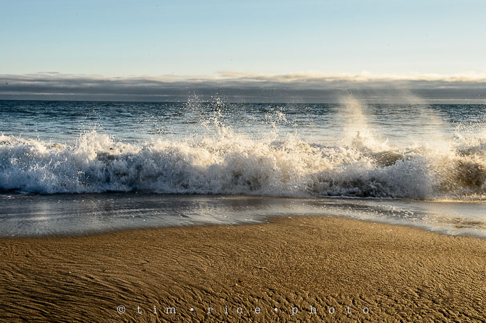 Yr6•276-365•2091•Scott's Creek Beach