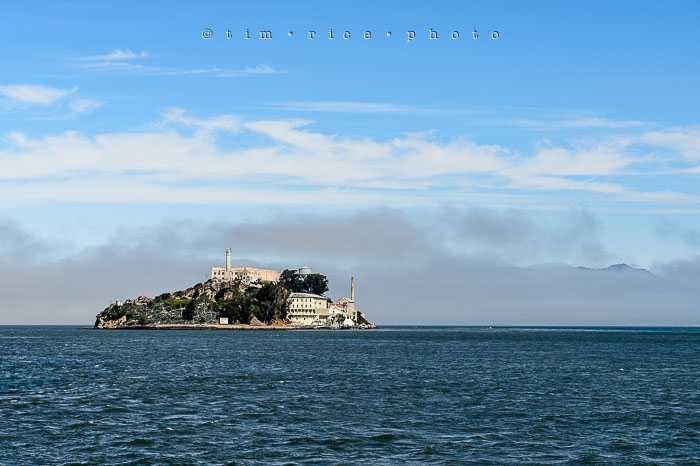 Yr6•276-365•2093•Hidden Gate