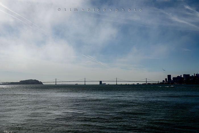 Yr6•278-365•2093•Hidden Gate