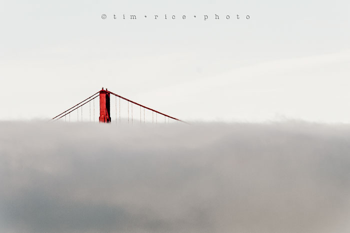 Yr6•280-365•2093•Hidden Gate