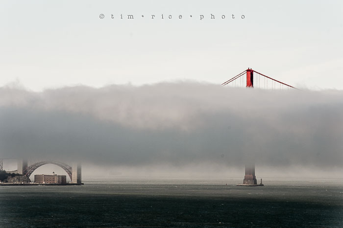 Yr6•281-365•2093•Hidden Gate