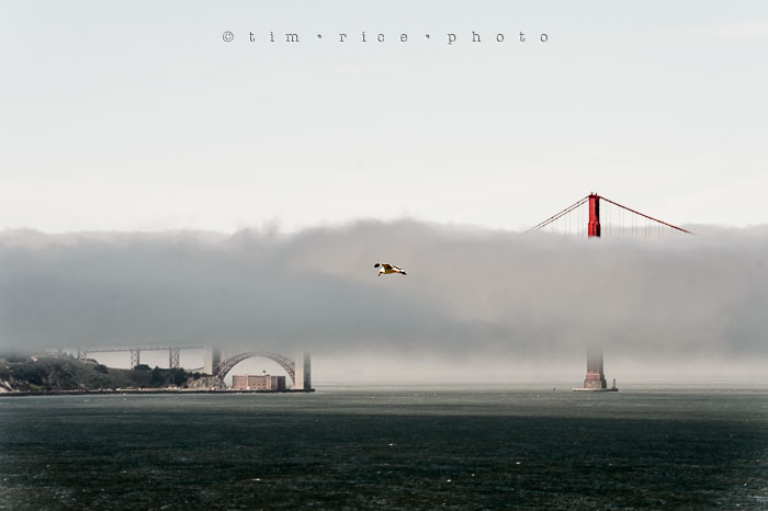 Yr6•282-365•2093•Hidden Gate