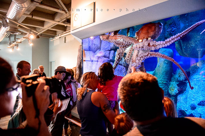 Yr6•274-365•2094•Found Him