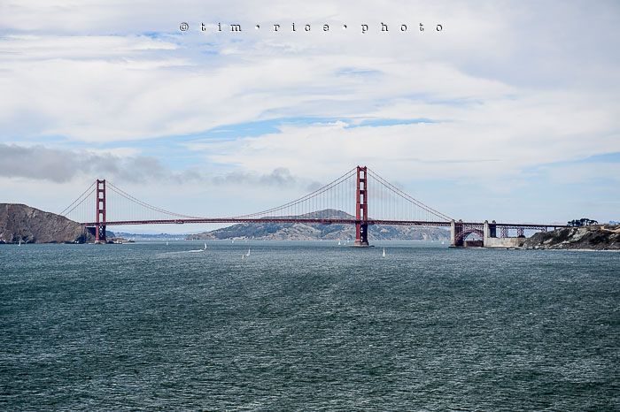 Yr6•278-365•2098•As the Lights Come and Go