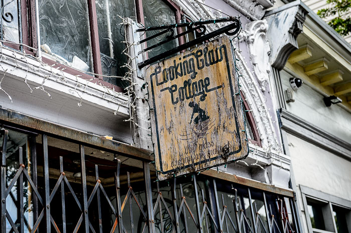 Yr6•280-365•2095•Ashbury Haight Haight Ashbury_