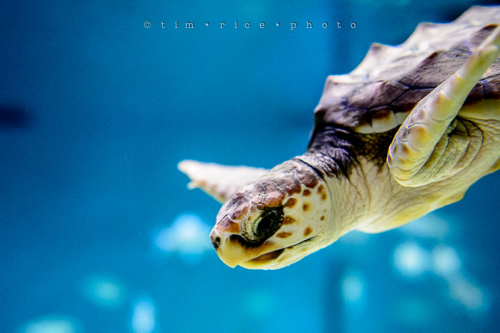 Yr6•281-365•2094•Found Him