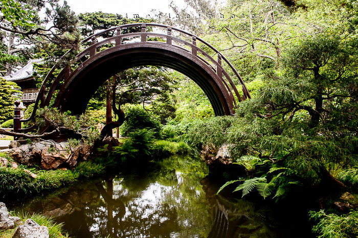 Yr6•281-365•2098•As the Lights Come and Go