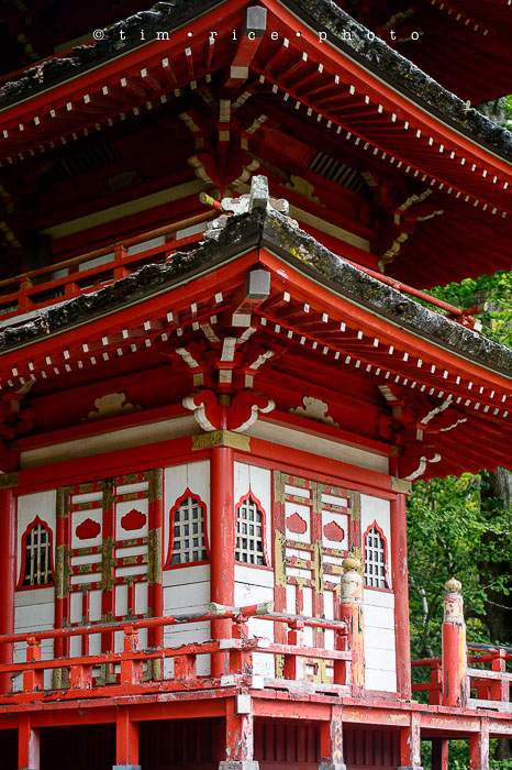 Yr6•283-365•2098•As the Lights Come and Go