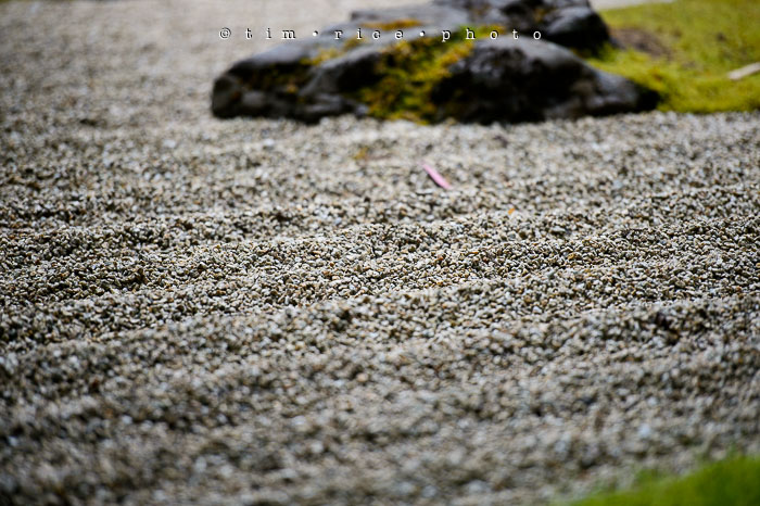 Yr6•284-365•2098•As the Lights Come and Go