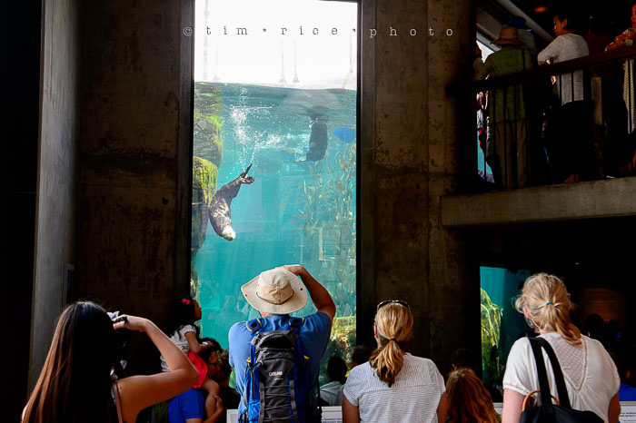 Yr6•285-365•2094•Found Him