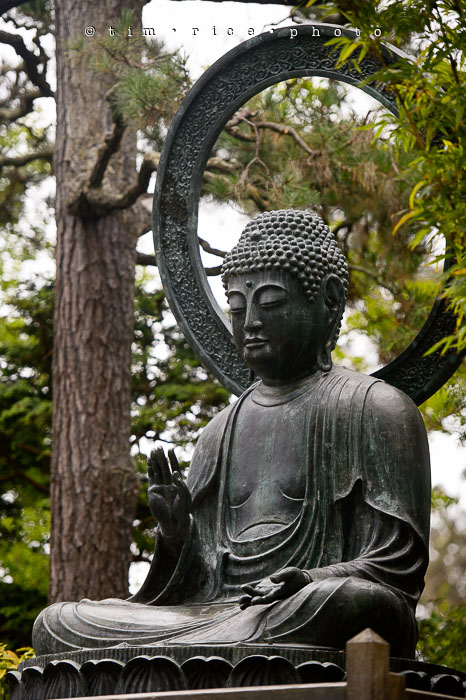 Yr6•285-365•2098•As the Lights Come and Go