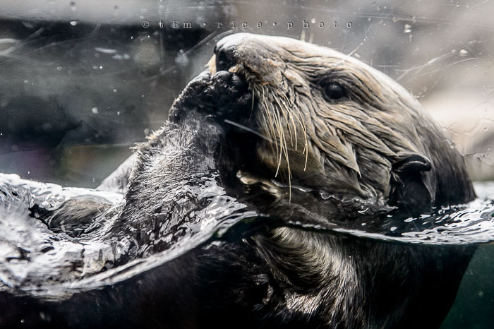 Yr6•286-365•2094•Found Him