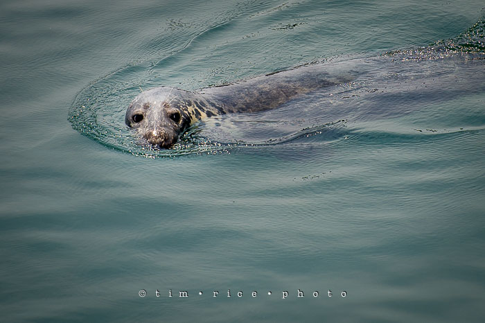 Yr6•286-365•2106•Do You Mind?