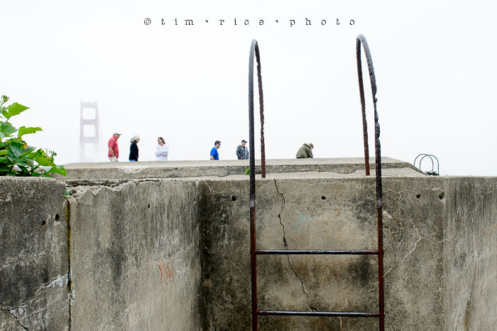 Yr6•287-365•2098•As the Lights Come and Go