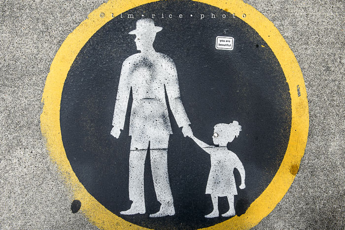 Yr6•288-365•2098•As the Lights Come and Go