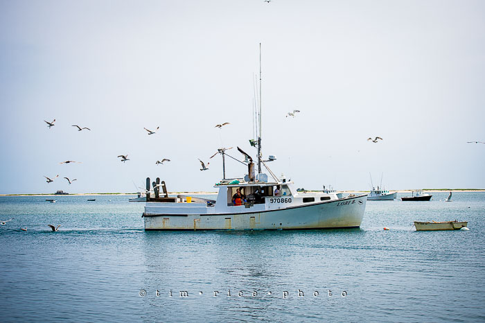 Yr6•288-365•2106•Do You Mind?