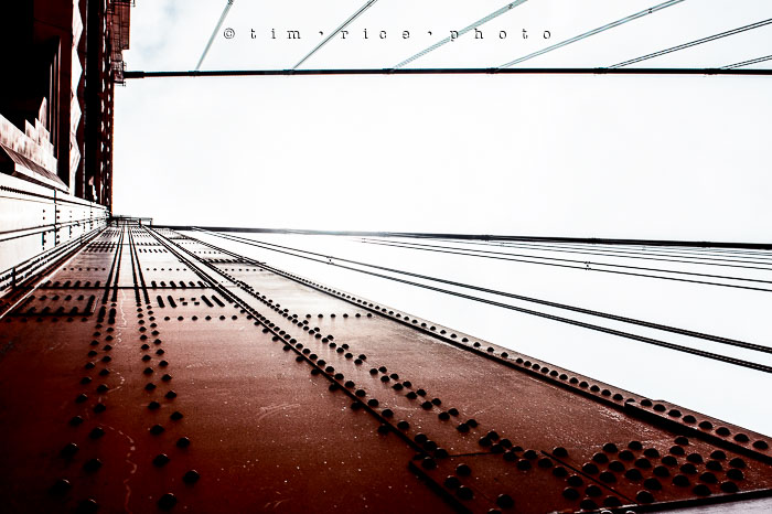 Yr6•289-365•2098•As the Lights Come and Go