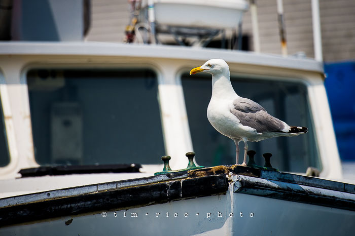 Yr6•289-365•2106•Do You Mind?