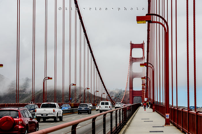 Yr6•290-365•2098•As the Lights Come and Go