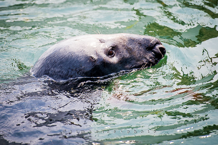 Yr6•290-365•2106•Do You Mind?