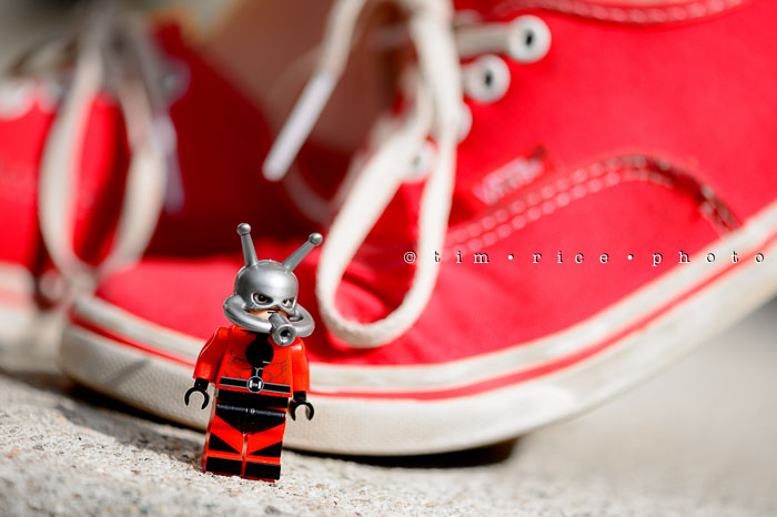 Yr6•290/365•2116 Watch Out for The Ant-man July 17, 2015