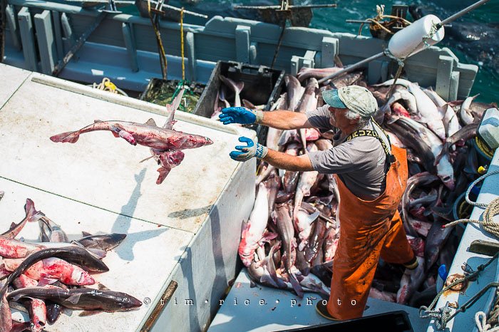 Yr6•291-365•2106•Do You Mind?