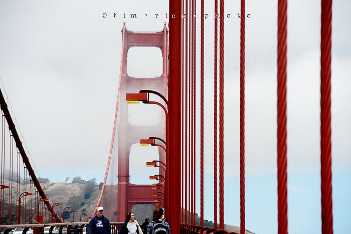 Yr6•292-365•2098•As the Lights Come and Go